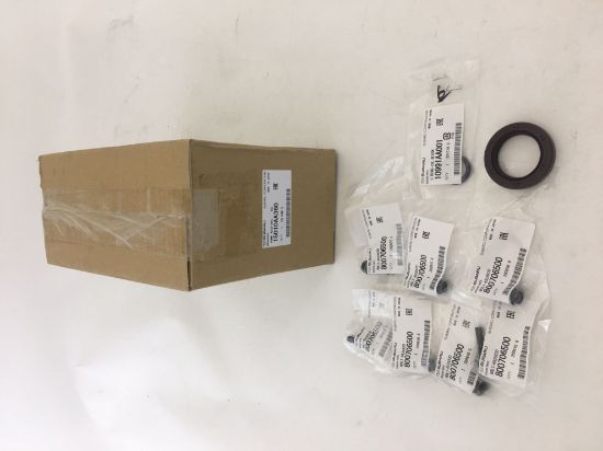 Picture of Oil Pump With Bolts & Seals