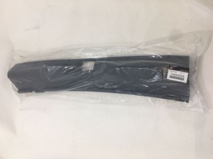 Picture of Lift Gate Trim Scuff Plate