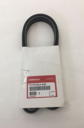 Picture of Serpentine Alternator Belt